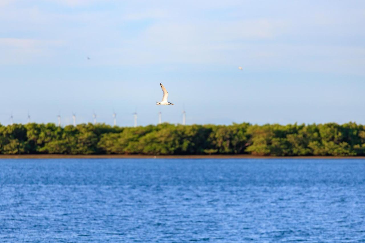 Oasis Galinhos